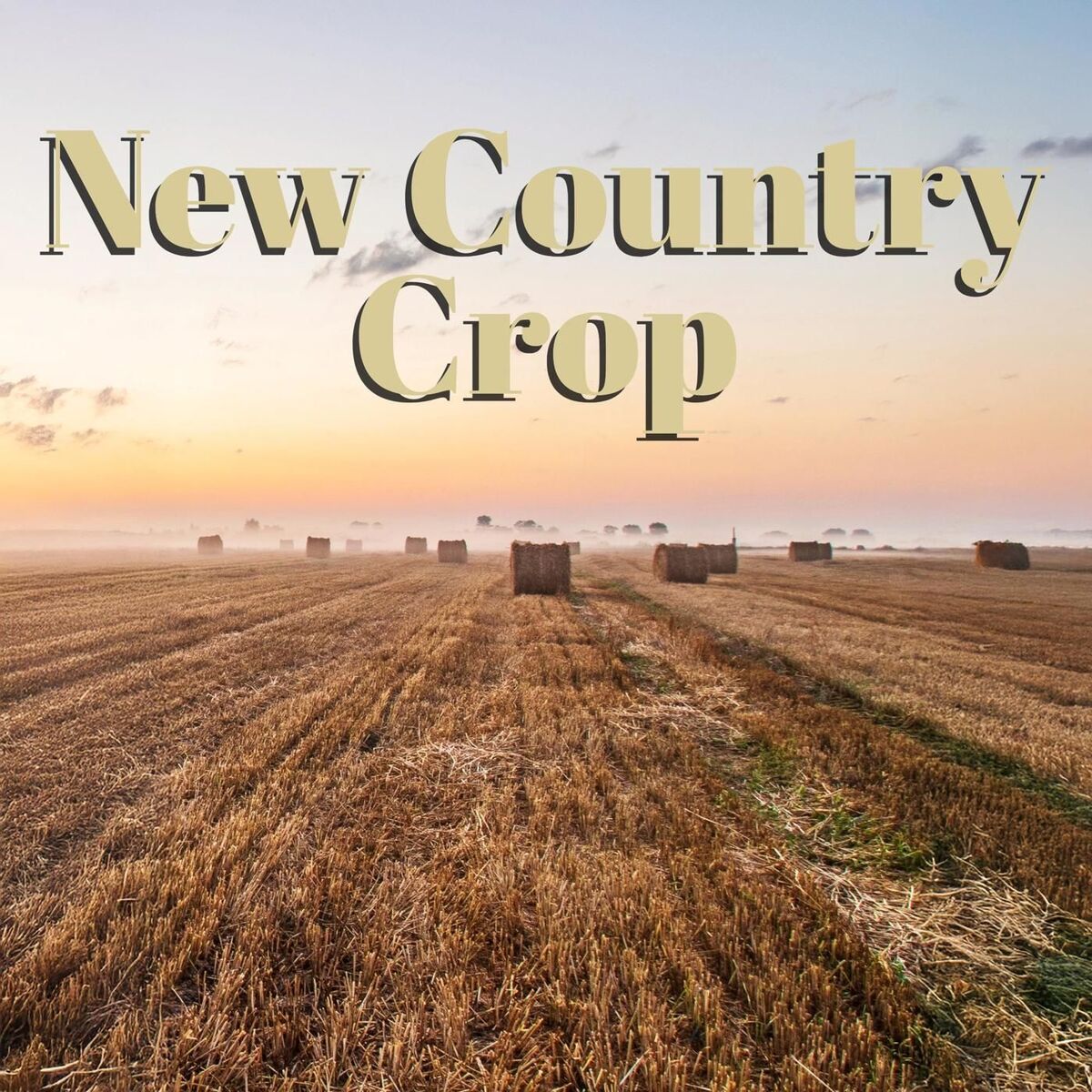 Album cover of New Country Crop
