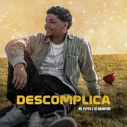 Cover of Descomplica