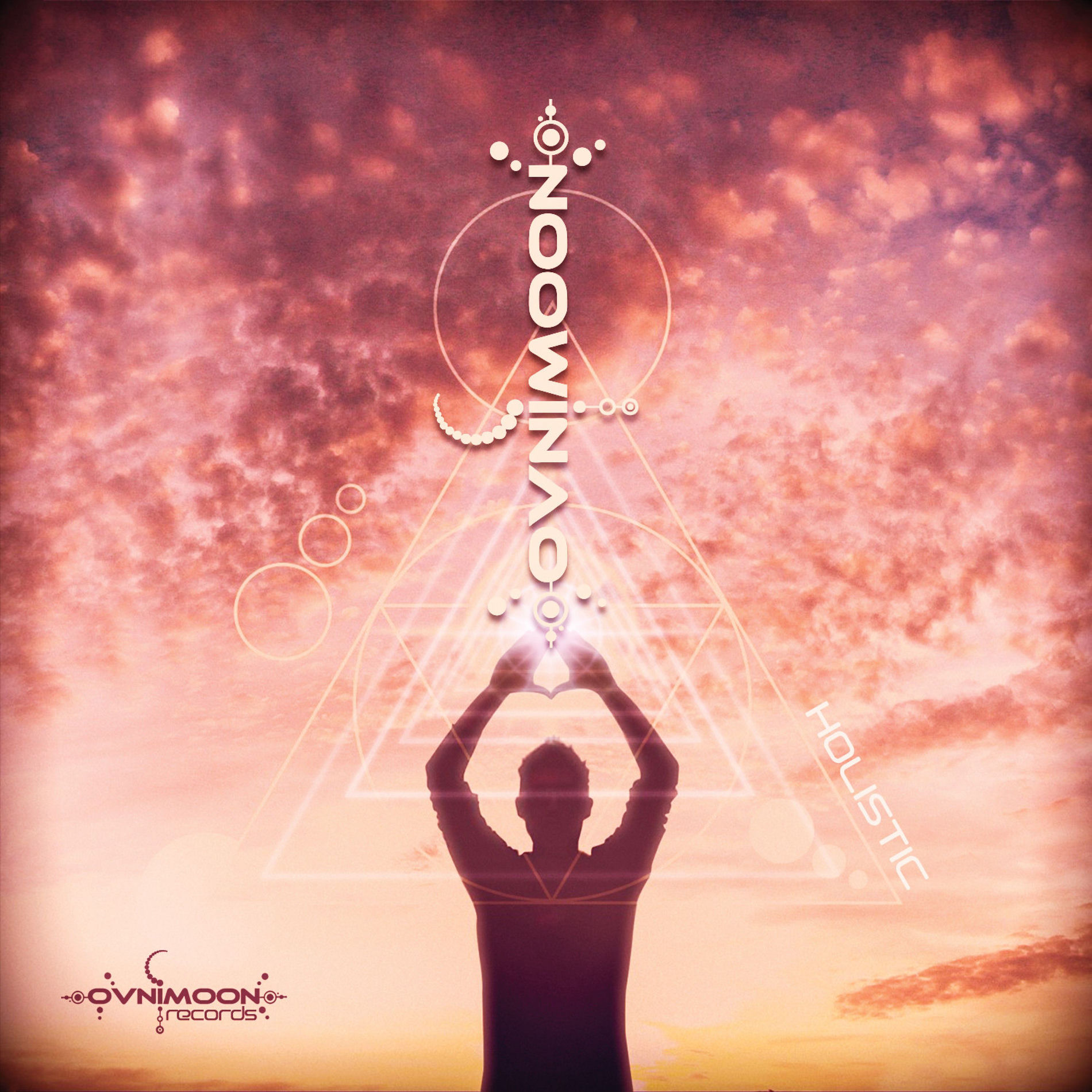 Album cover of Holistic