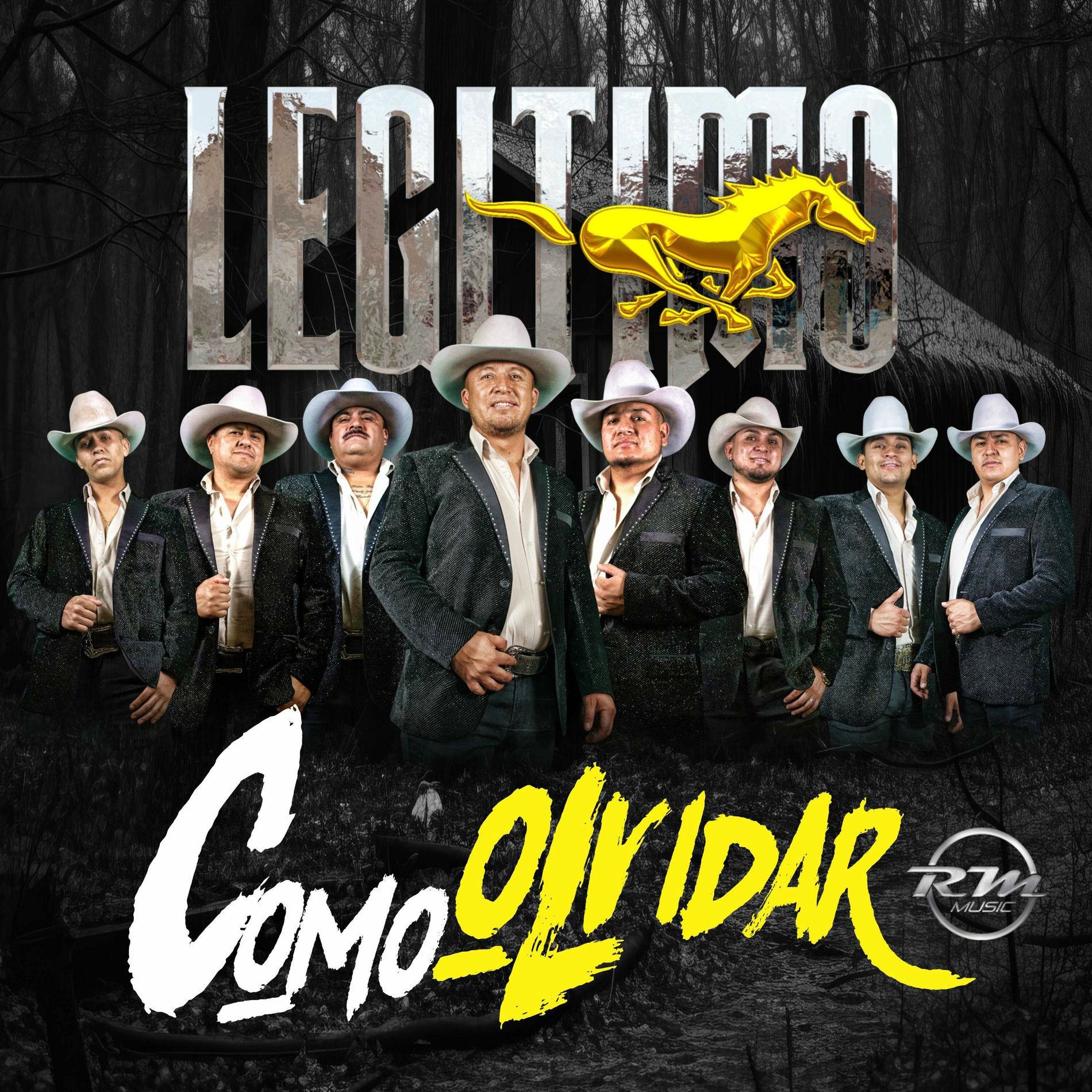 Album cover of Como Olvidar