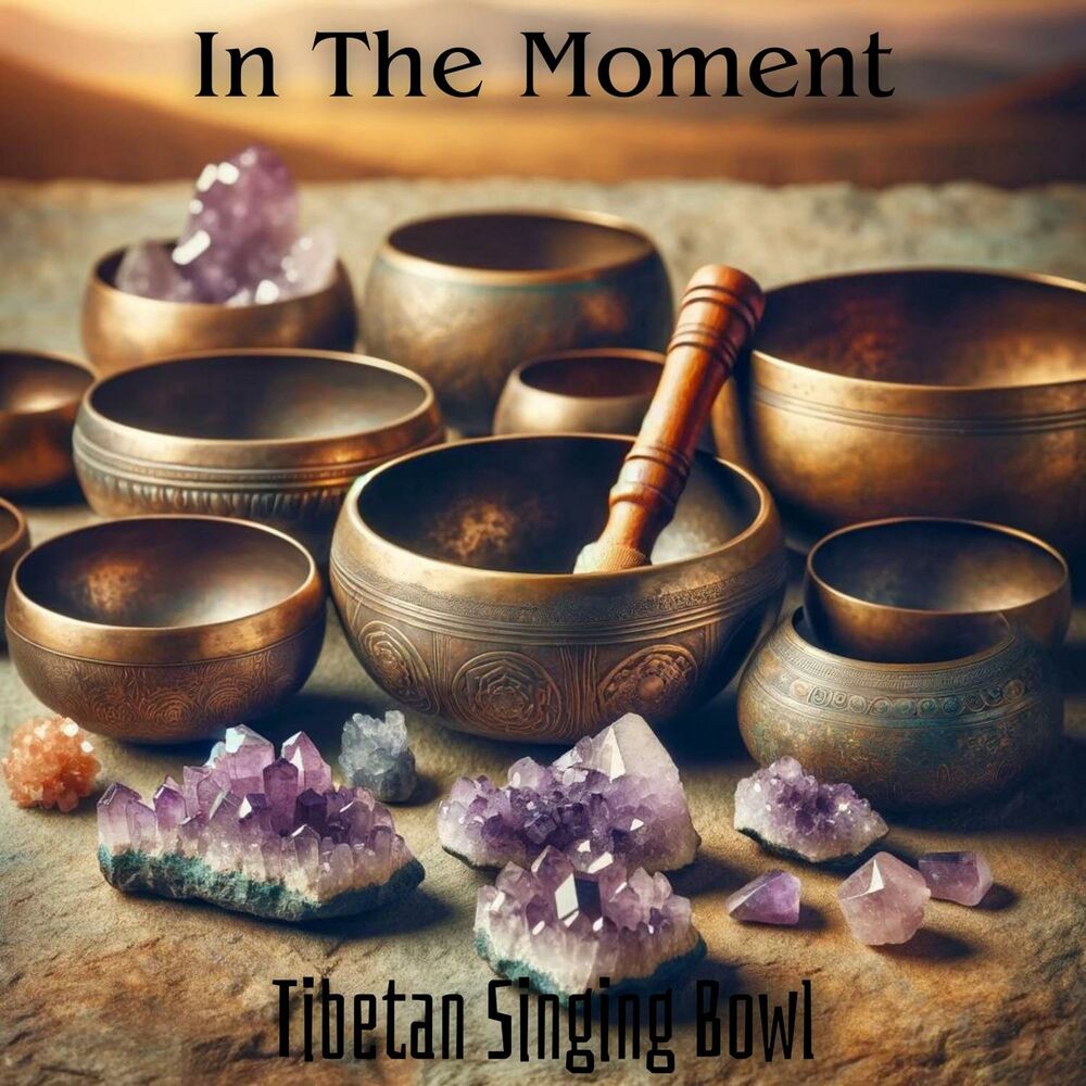 Picture of In The Moment: Tibetan Singing Bowl Music for Healing Meditation & Sound Therapy