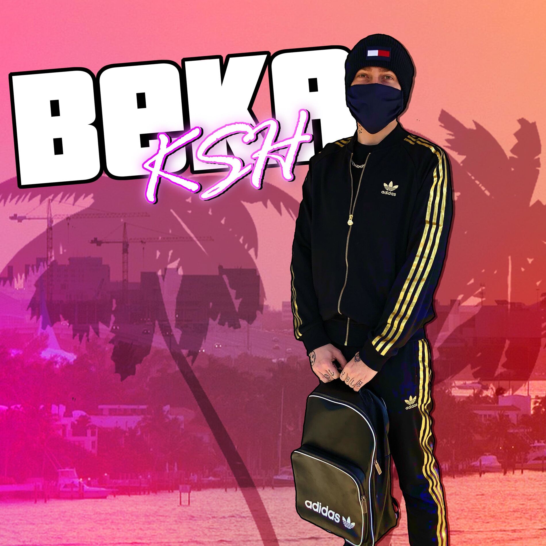 Album cover of Siema, Siema