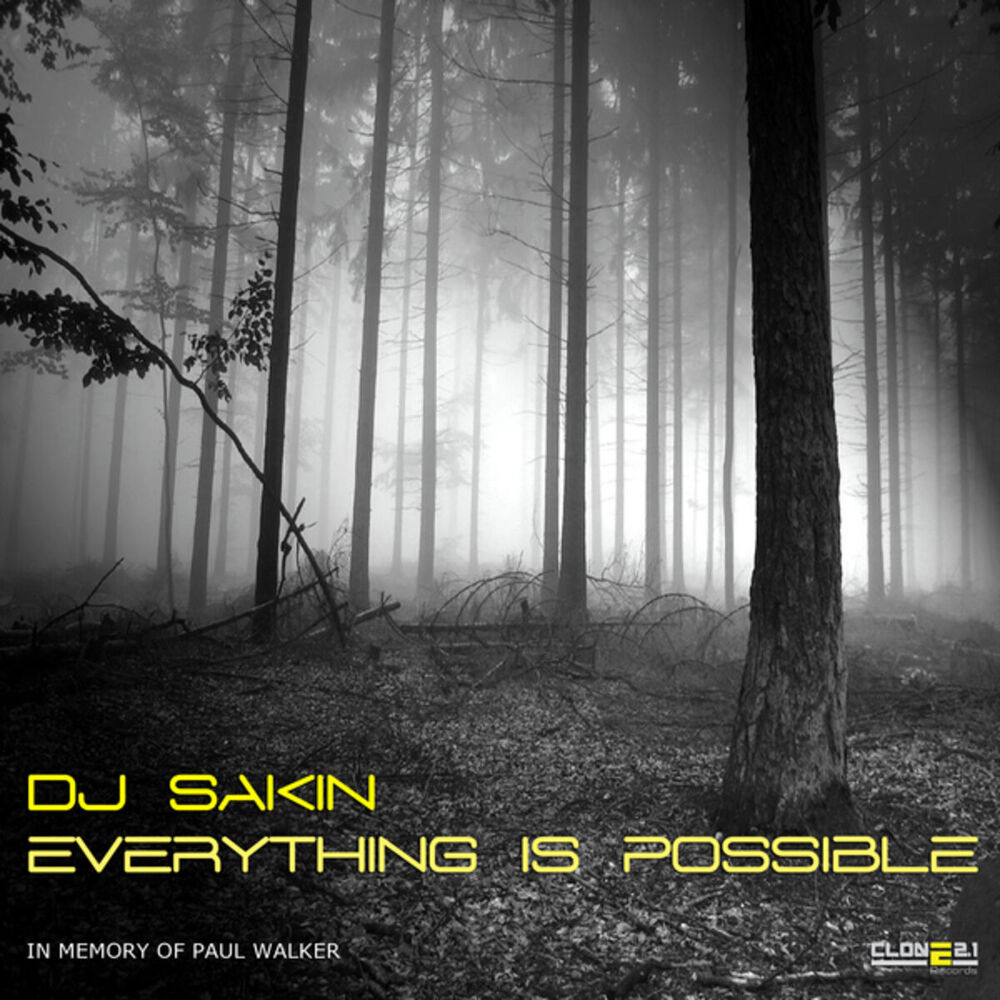 Picture of Everything Is Possible (In Memory of Paul Walker)