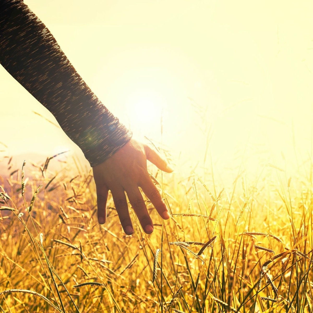 Album cover of C h i l l e r i a