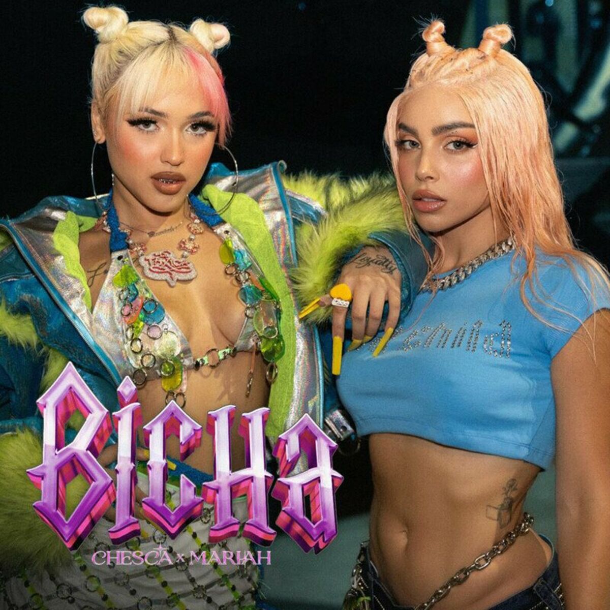 Album cover of Bicha