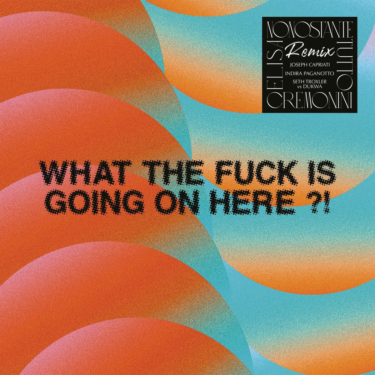 Album cover of What The Fuck Is Going On Here?!