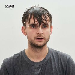 Cover of Homme à la mer