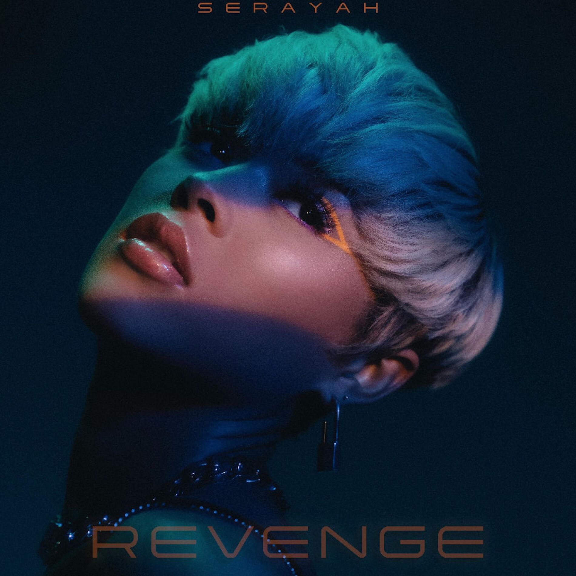 Album cover of Revenge