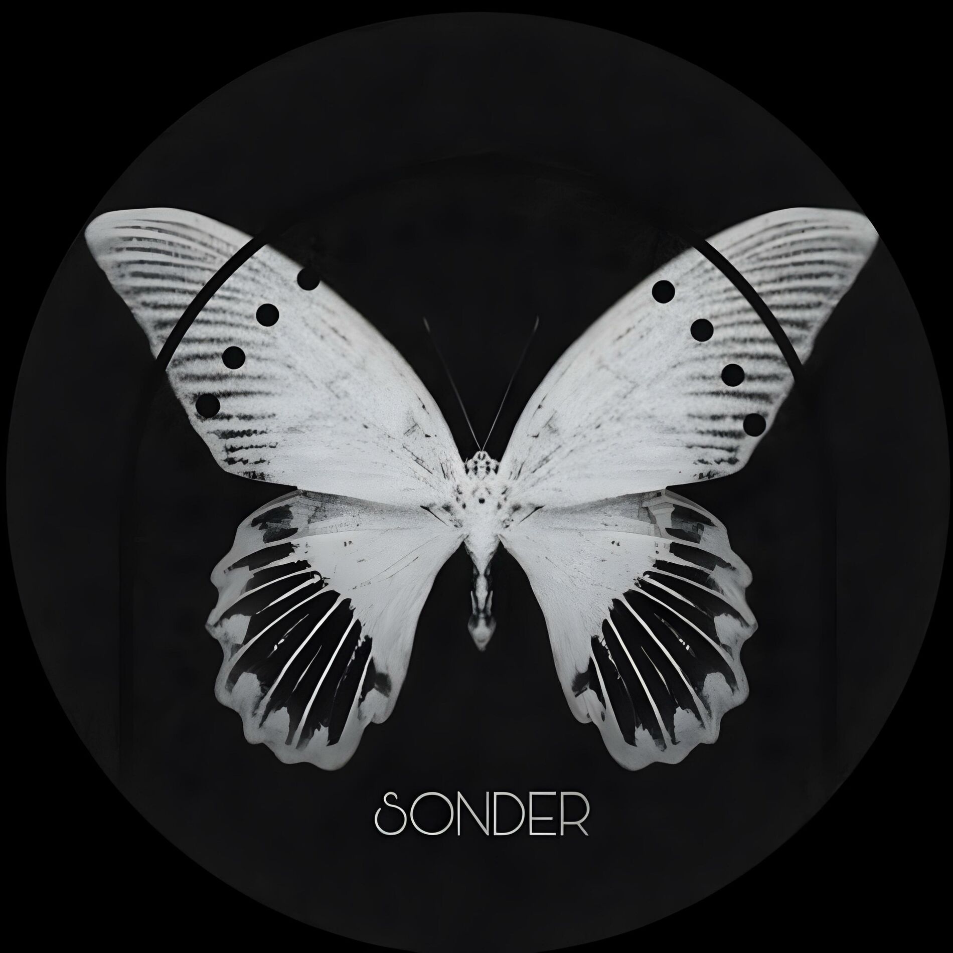 Album cover of Sonder