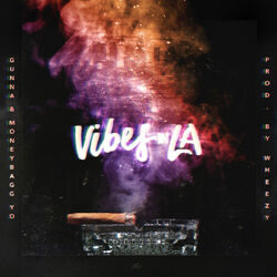 Cover of Vibes In LA