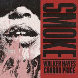 Cover of Smoke