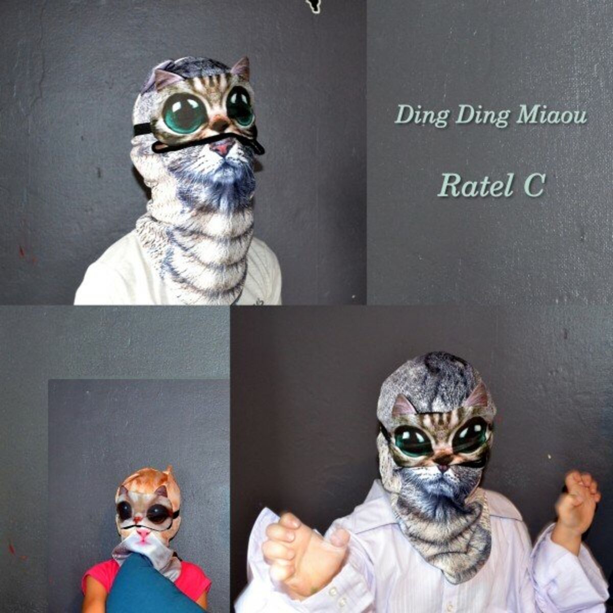 Album cover of Ding ding miaou