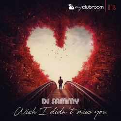 DJ Sammy - Wish I Didnt Miss You (Original Mix)