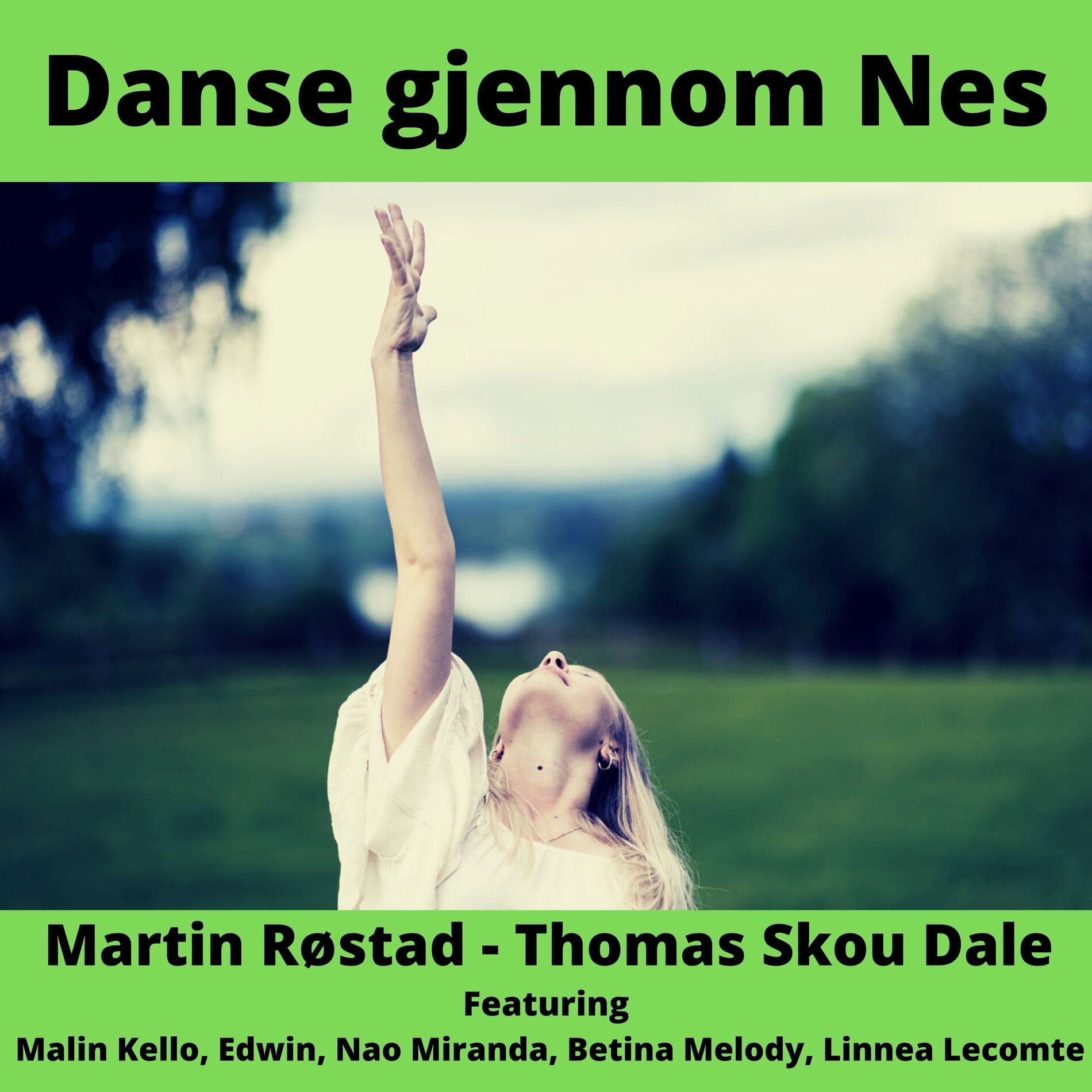 Album cover of Danse gjennom Nes