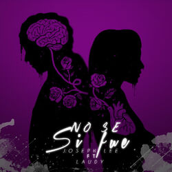 Cover of No Se Si Fue