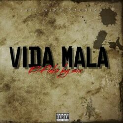 Cover of Vida mala