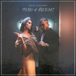 Cover of Todo a Medias
