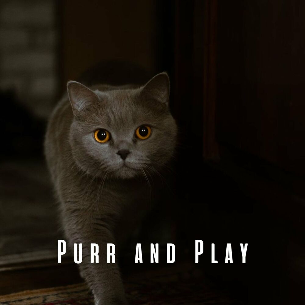 Picture of Purr and Play: Upbeat Piano for Playful Cats