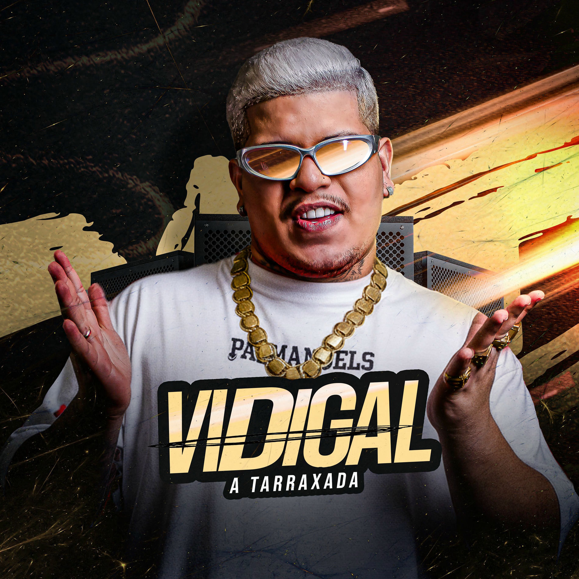 Album cover of Vidigal