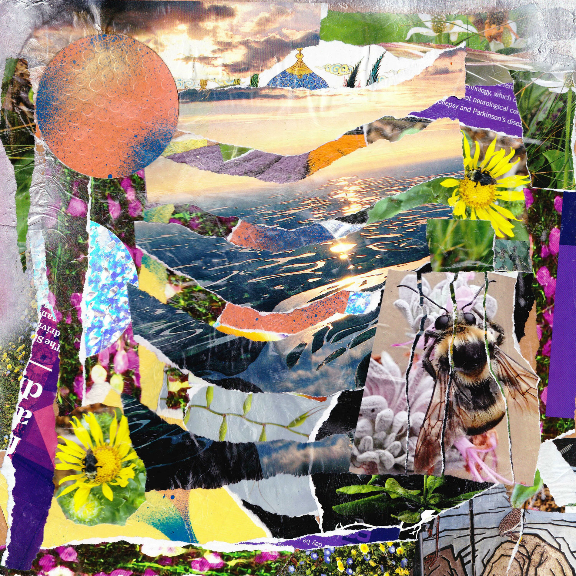 Album cover of Sampling With Franny