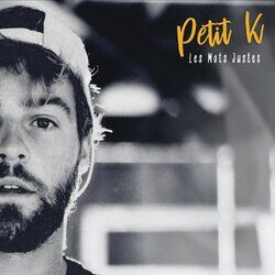 Cover of Les mots justes