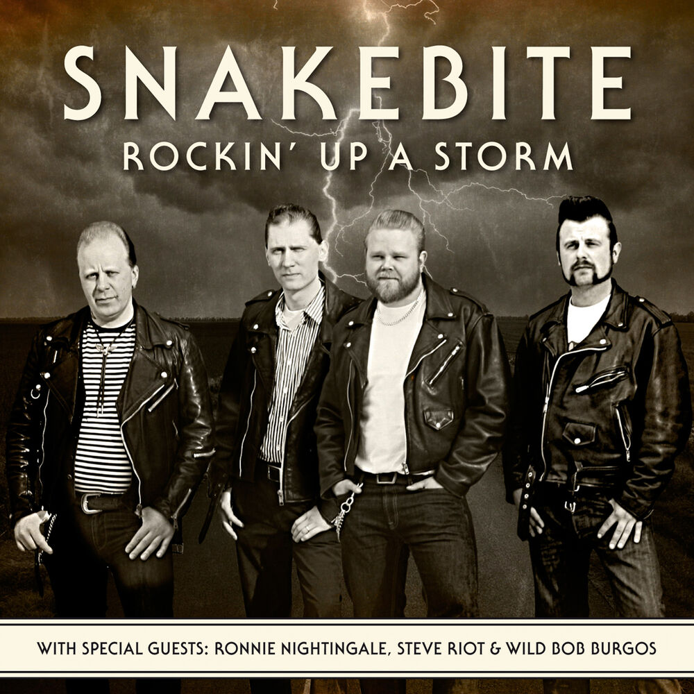 Picture of Rockin' up a Storm