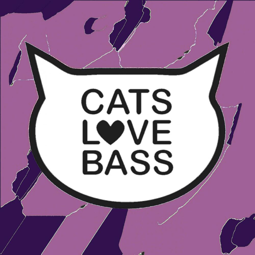 Picture of Best Of Cats 2014 Vol.2