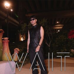 Cover of WAIT