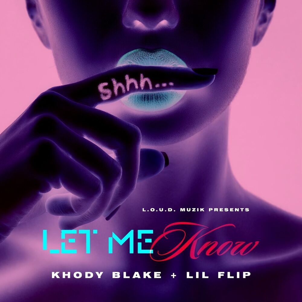 Picture of Let Me Know (Remix)