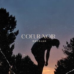 Cover of Coeur noir