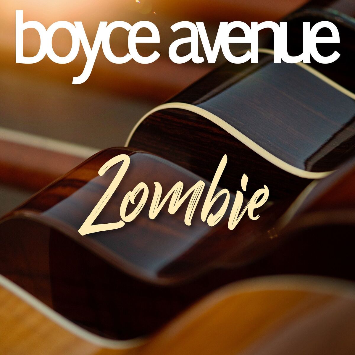 Album cover of Zombie