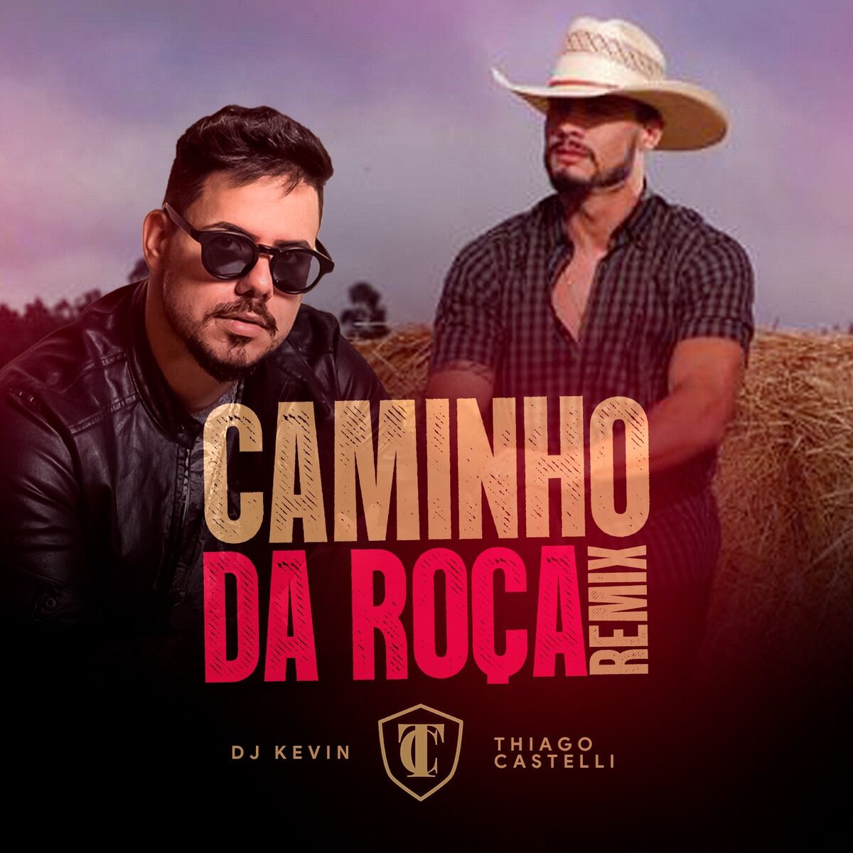 Album cover of Caminho da Roça (Remix)