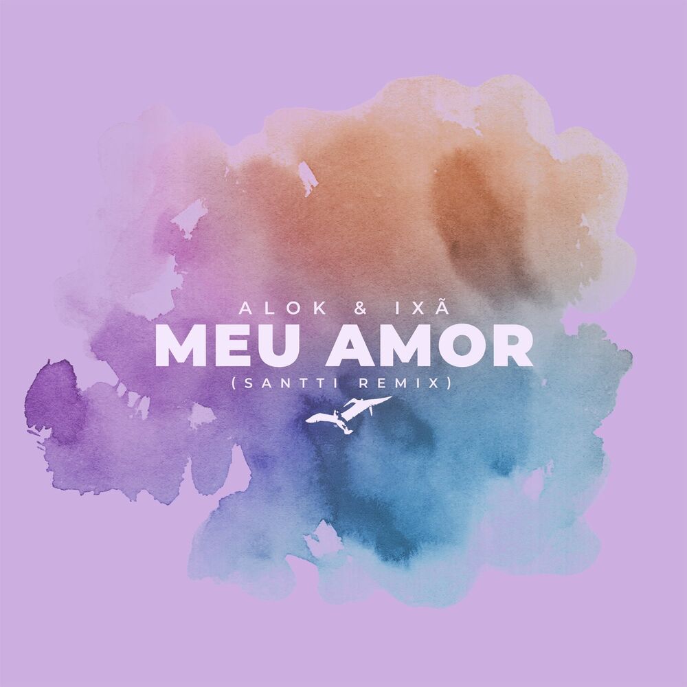 Picture of Meu Amor (Santti Remix)