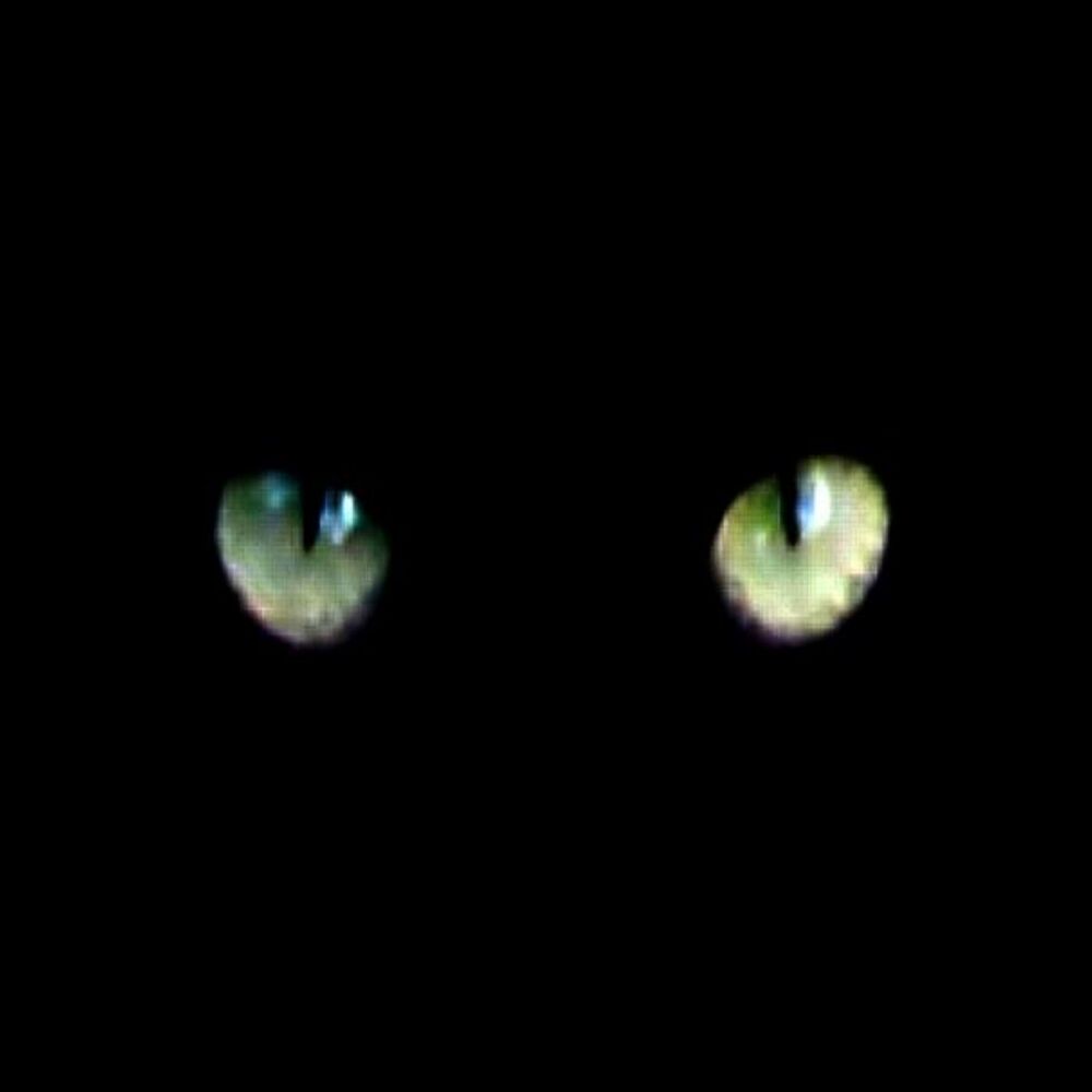 Picture of En Trance