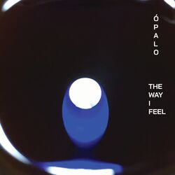 Cover of The Way I Feel