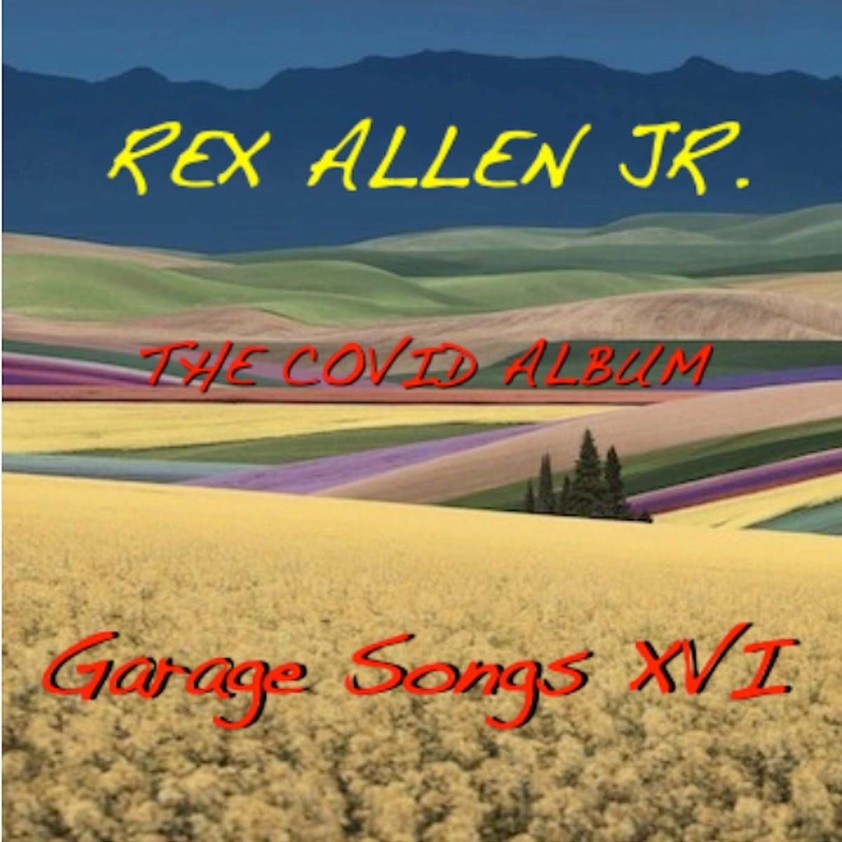 Album cover of Garage Songs XVI: The Covid Album
