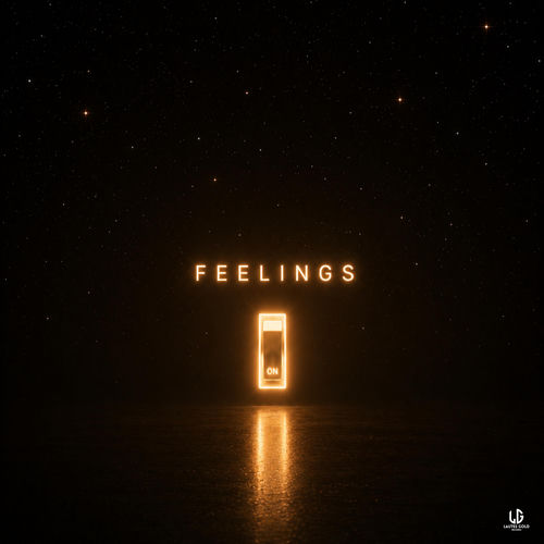 Feelings