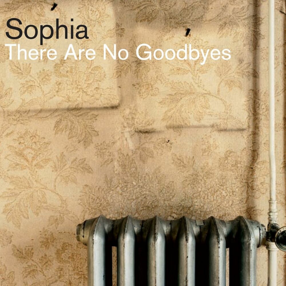 Picture of There are no goodbyes (Bonus Track)