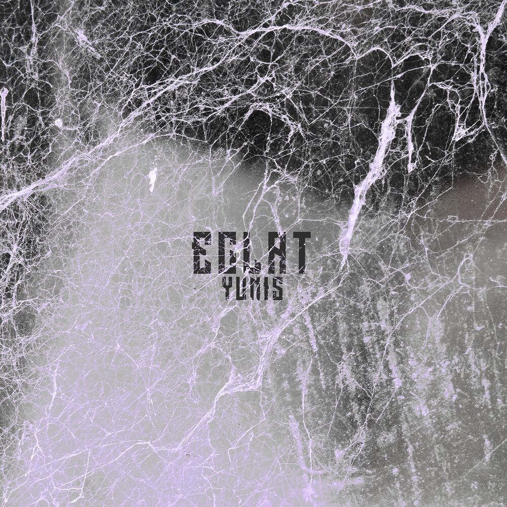 Picture of Eclat