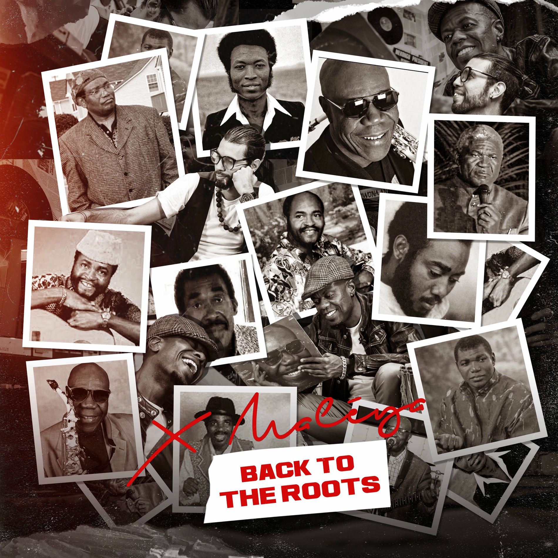 Album cover of Back To the Roots