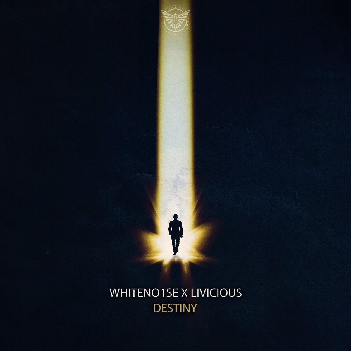 Album cover of Destiny