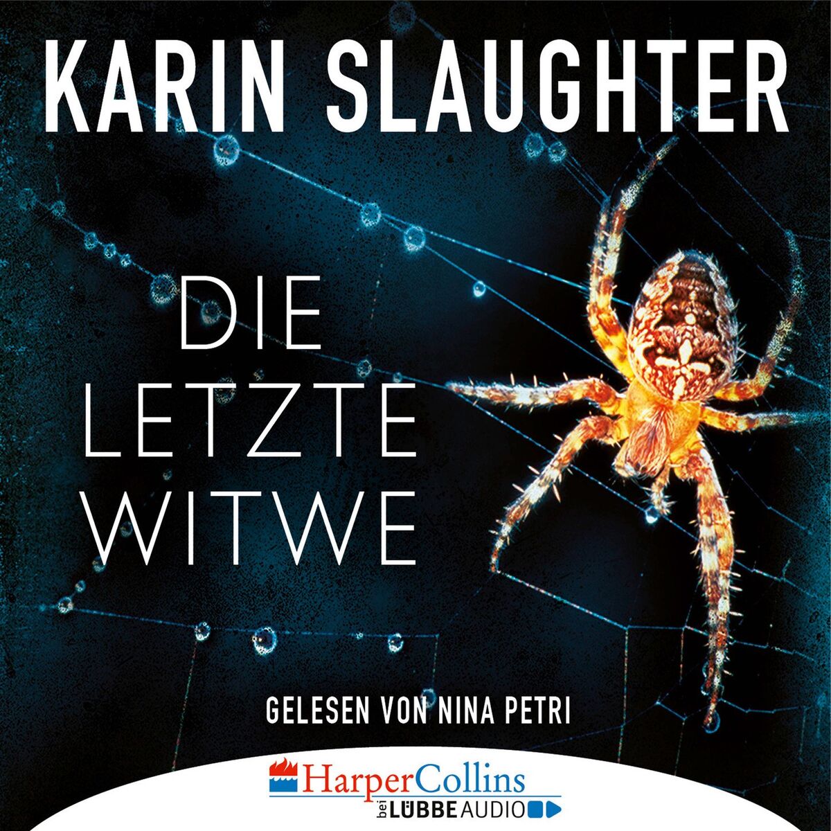 Album cover of Kapitel 1 - Die letzte Witwe - Georgia-Serie, Teil 7
