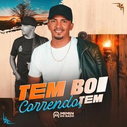 Cover of Tem Boi Correndo, Tem