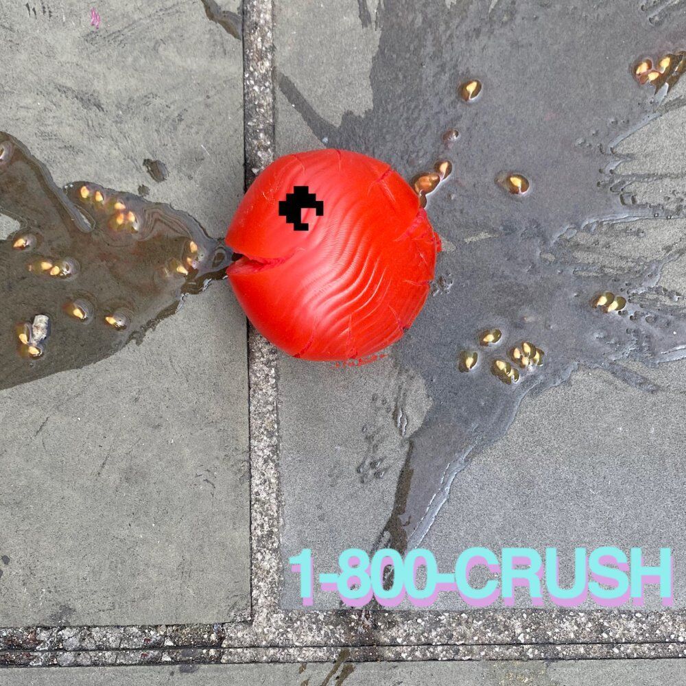 Picture of 1-800-CRUSH