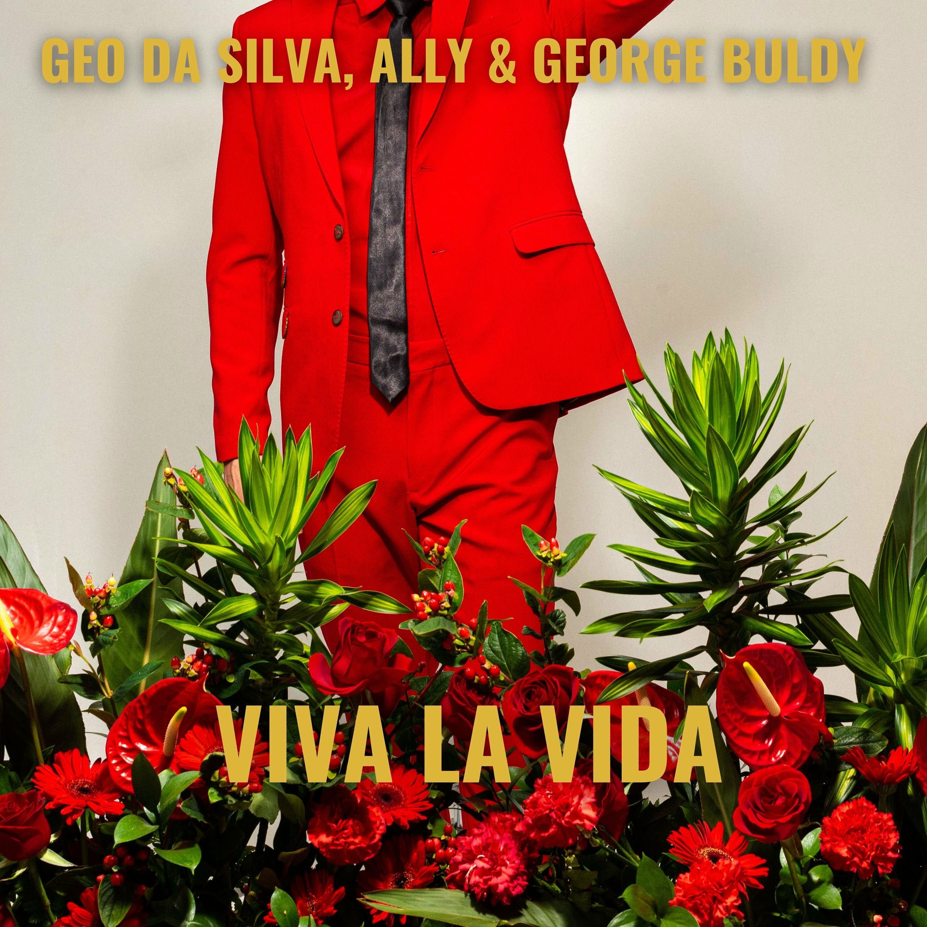 Album cover of Viva La Vida