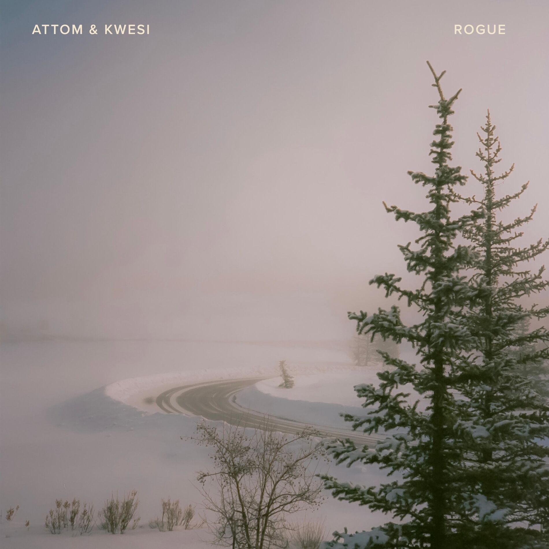 Album cover of Rogue