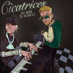 Cover of Cicatrices
