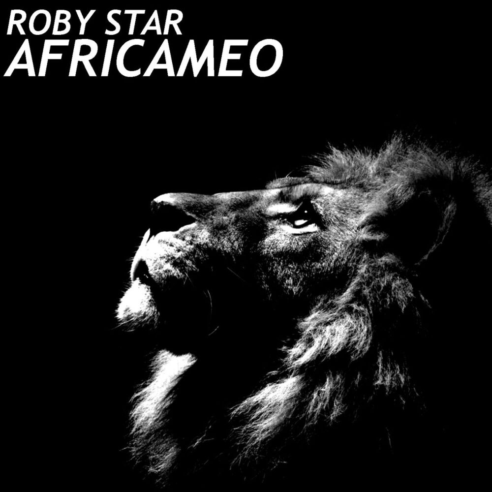 Picture of Africameo