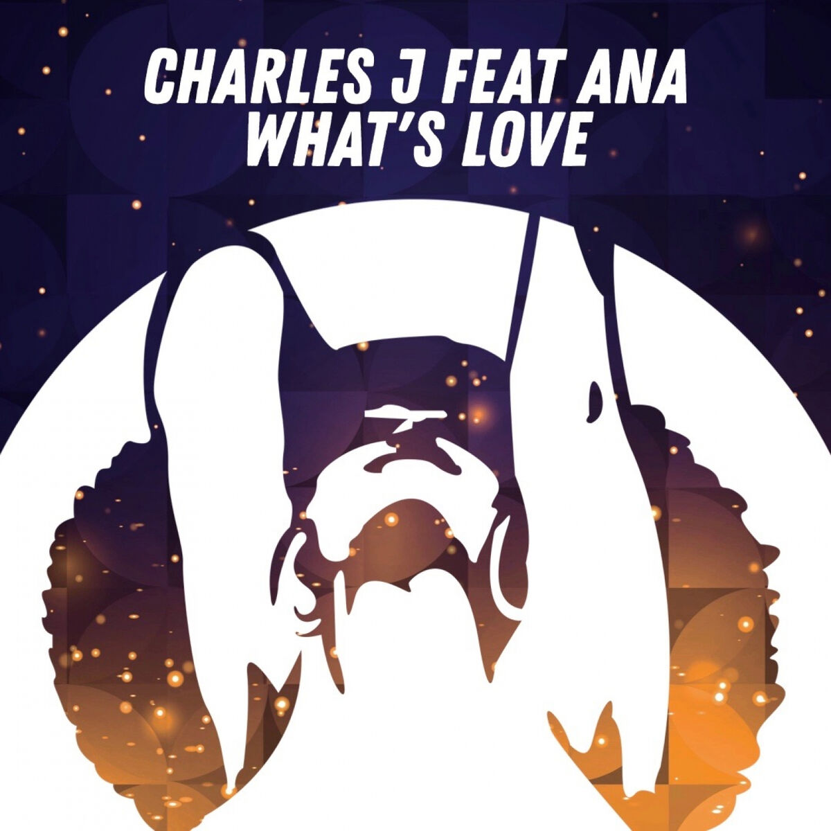 Album cover of What's Love