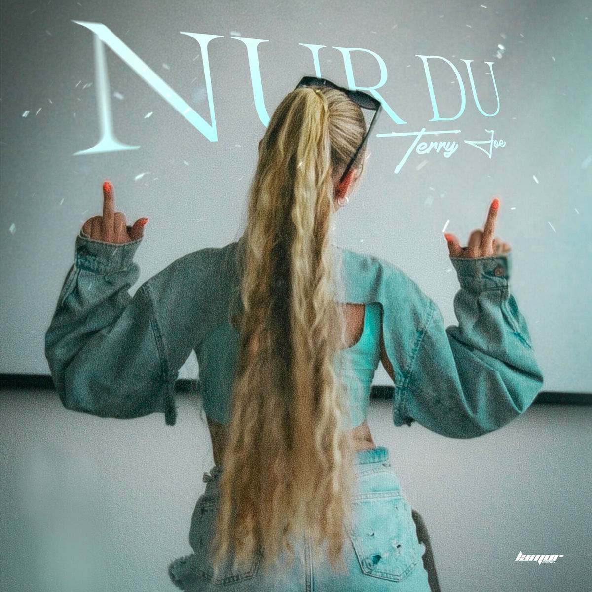Album cover of NUR DU